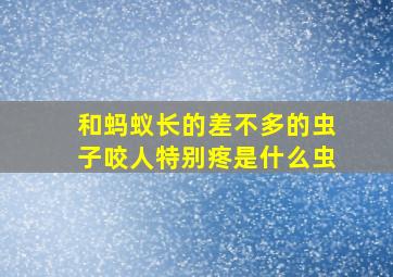 和蚂蚁长的差不多的虫子咬人特别疼是什么虫