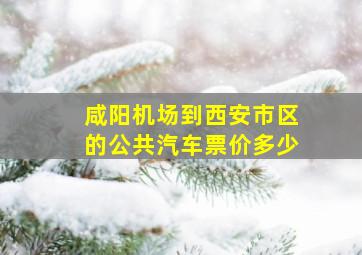 咸阳机场到西安市区的公共汽车票价多少