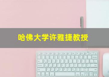 哈佛大学许雅捷教授