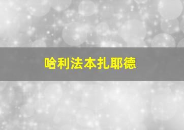 哈利法本扎耶德