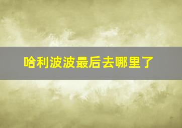 哈利波波最后去哪里了