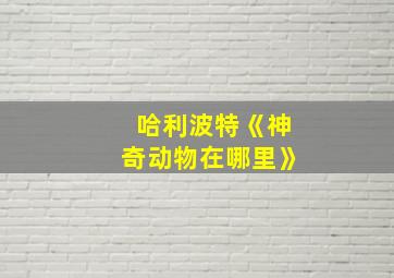 哈利波特《神奇动物在哪里》