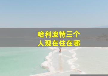 哈利波特三个人现在住在哪