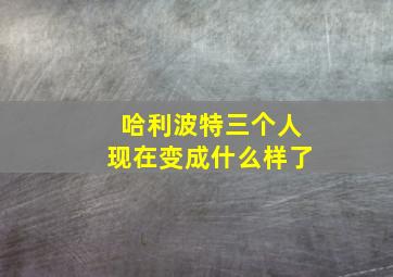 哈利波特三个人现在变成什么样了