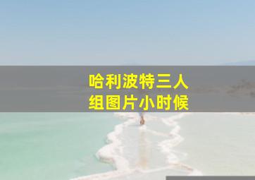 哈利波特三人组图片小时候