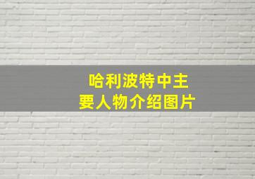 哈利波特中主要人物介绍图片