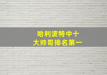 哈利波特中十大帅哥排名第一