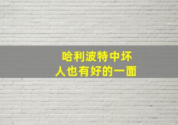 哈利波特中坏人也有好的一面