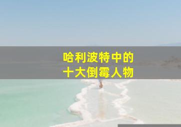 哈利波特中的十大倒霉人物