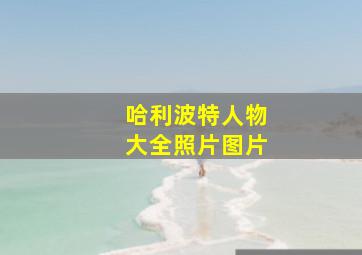 哈利波特人物大全照片图片