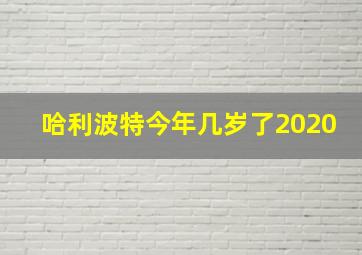 哈利波特今年几岁了2020