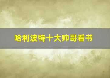 哈利波特十大帅哥看书