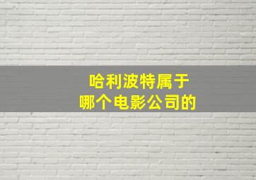 哈利波特属于哪个电影公司的