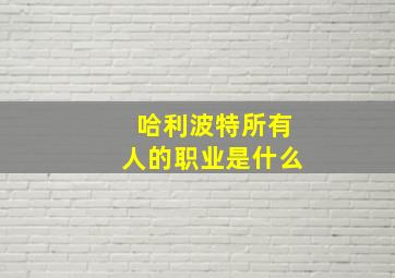 哈利波特所有人的职业是什么