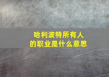 哈利波特所有人的职业是什么意思