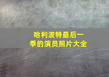 哈利波特最后一季的演员照片大全