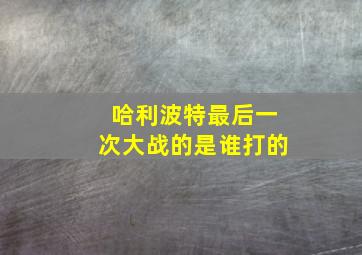 哈利波特最后一次大战的是谁打的