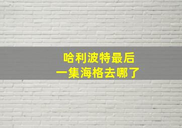 哈利波特最后一集海格去哪了