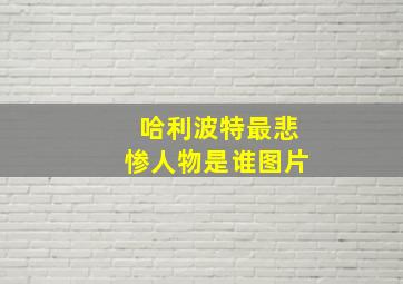 哈利波特最悲惨人物是谁图片