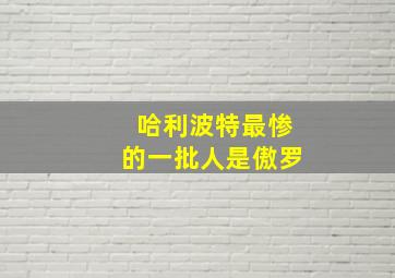 哈利波特最惨的一批人是傲罗