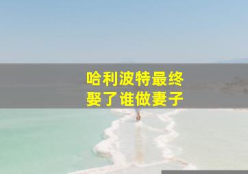 哈利波特最终娶了谁做妻子