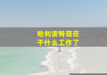 哈利波特现在干什么工作了