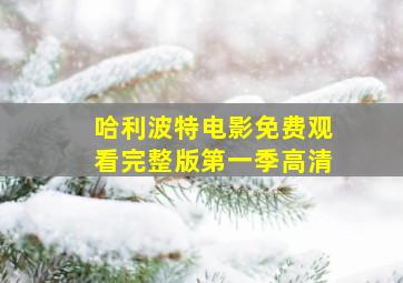 哈利波特电影免费观看完整版第一季高清