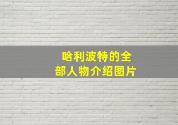 哈利波特的全部人物介绍图片