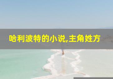 哈利波特的小说,主角姓方