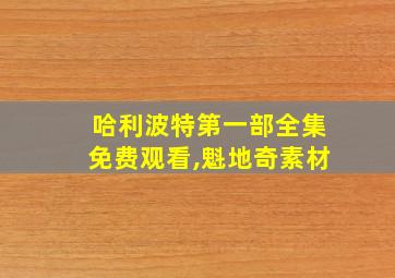 哈利波特第一部全集免费观看,魁地奇素材