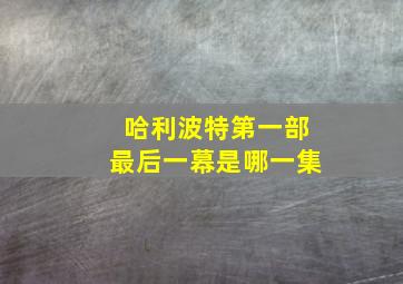 哈利波特第一部最后一幕是哪一集