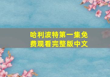 哈利波特第一集免费观看完整版中文