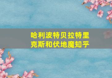 哈利波特贝拉特里克斯和伏地魔知乎