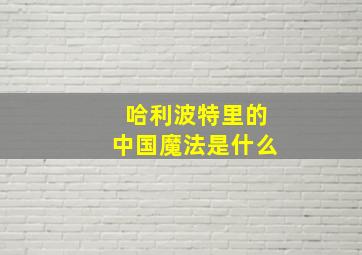 哈利波特里的中国魔法是什么