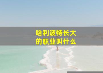 哈利波特长大的职业叫什么