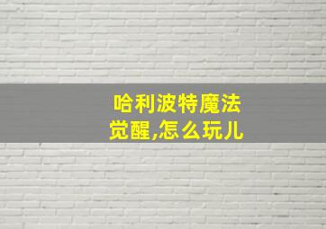 哈利波特魔法觉醒,怎么玩儿