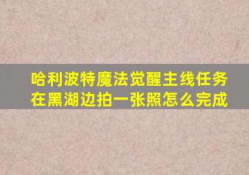 哈利波特魔法觉醒主线任务在黑湖边拍一张照怎么完成