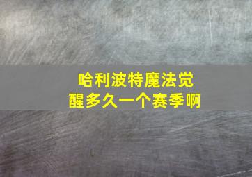 哈利波特魔法觉醒多久一个赛季啊