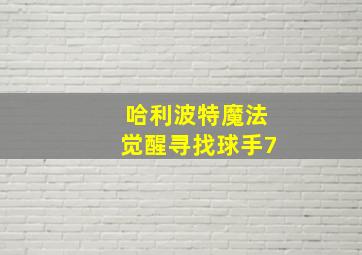 哈利波特魔法觉醒寻找球手7