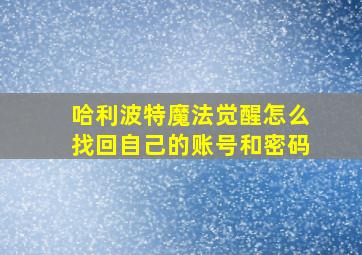 哈利波特魔法觉醒怎么找回自己的账号和密码