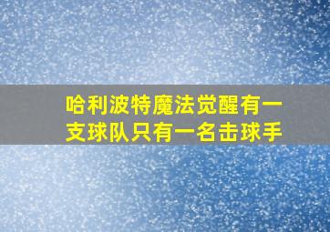 哈利波特魔法觉醒有一支球队只有一名击球手