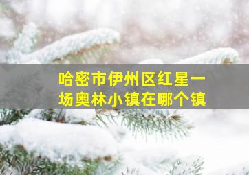 哈密市伊州区红星一场奥林小镇在哪个镇