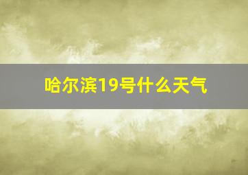 哈尔滨19号什么天气