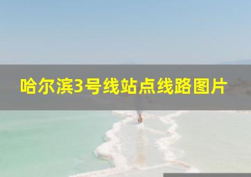 哈尔滨3号线站点线路图片