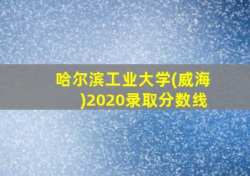 哈尔滨工业大学(威海)2020录取分数线