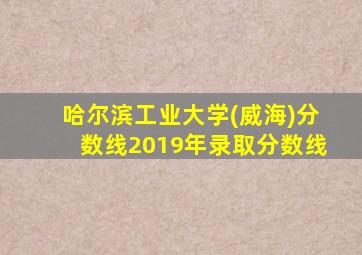 哈尔滨工业大学(威海)分数线2019年录取分数线