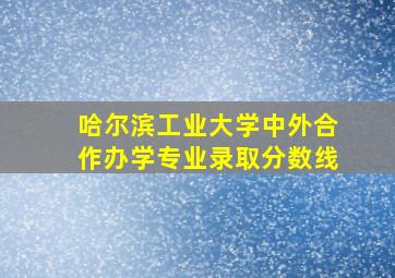 哈尔滨工业大学中外合作办学专业录取分数线