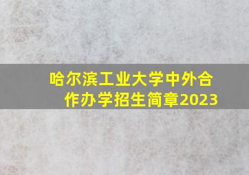 哈尔滨工业大学中外合作办学招生简章2023