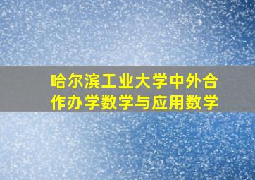 哈尔滨工业大学中外合作办学数学与应用数学