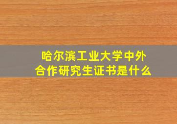 哈尔滨工业大学中外合作研究生证书是什么